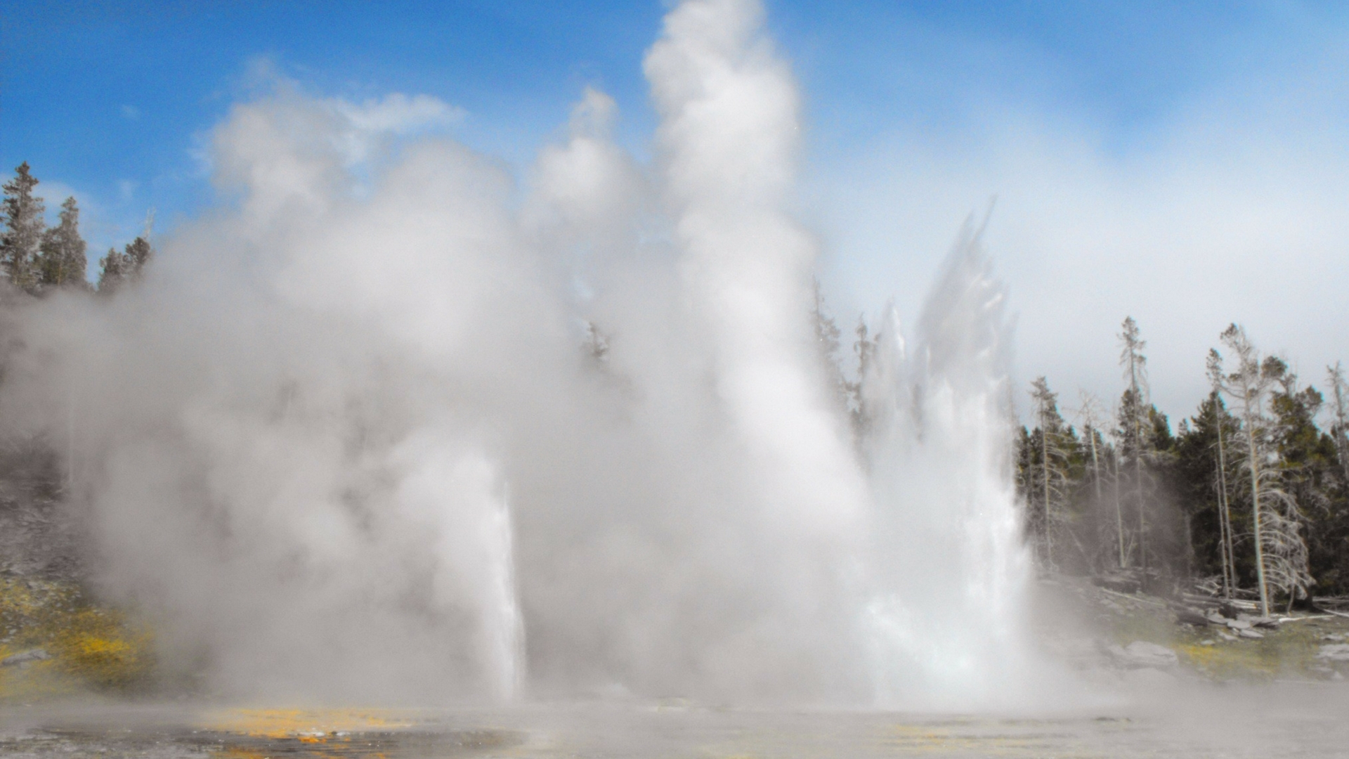 Himalayan hot water springs: a treasure trove of thermo-tolerant enzymes